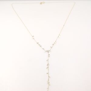 Gorjana Chloe Costa Silvertone Lariat Delicate Charm Necklace L4